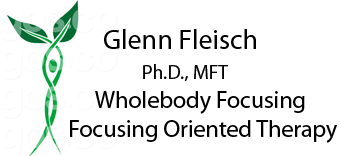 Glenn Fleisch, Ph.D., MFT – Wholebody Focusing